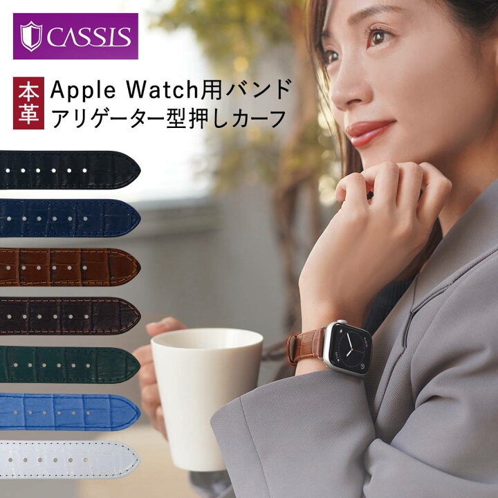楽天市場】アップルウォッチ バンド apple watch series 10 ~ 1 SE  