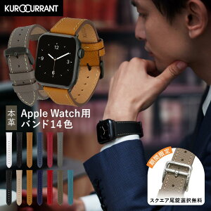 AbvEHb`ohY U[ v tbg AbvEHb` oh Y apple watch xg v {v applewatch 11 ~1 SE Ultra2 3 Eg ItBX JWA X[c j 40mm 41mm 42mm 44