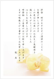 お礼状 ハガキ 10枚 私製はがき お中元 お歳暮 お祝い お礼はがき〈S-OR701 コチョウラン〉