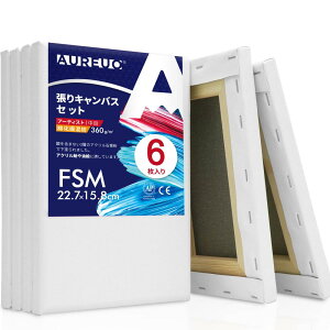 AUREUO 張りキャンバス セット FSM (22.7cmX15.8cm) 中目 綿化繊混紡 6枚 初心者 絵画用具 芸術絵創作 現代油絵 美術装飾 水彩画・油絵画・アクリル兼用