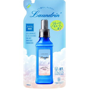 y2024Nzh t _ tbVq[g lߑւ 480ml