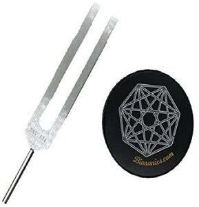 高精度BIOSONICS社製DNAチューナー528Hz&専用チューニングフォークアクティベーター