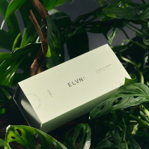 ELVN V[X`[}[ {̍ 6 A}es[ V[{