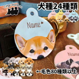 犬種選べる 迷子札 ドッグタグ 犬 かわいい 名入れ ペット うちの子 犬用迷子札 ネーム入り ネームタグ 名札 犬グッズ 犬イラスト プレゼント 名前入れ 誕生日 母の日 贈り物 コーギーブラザーズ 【 イラスト シリーズ 】 ALLODTG