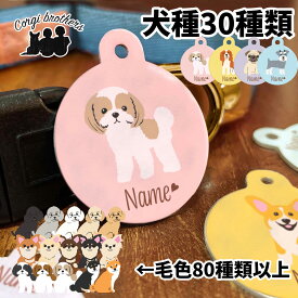 犬種選べる 迷子札 ドッグタグ 犬 かわいい 名入れ ペット うちの子 犬用迷子札 ネーム入り ネームタグ 名札 犬グッズ 犬イラスト プレゼント 名前入れ 誕生日 母の日 贈り物 コーギーブラザーズ 【 パターン柄 シリーズ 】 ALLSDTG