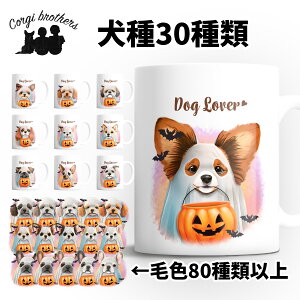 Iׂ }OJbv  킢 ꖳ ybg ̎q v[g Mtg ObY CXg  ʃvg a ̓ 蕨 mxeB R[M[uU[Y y n