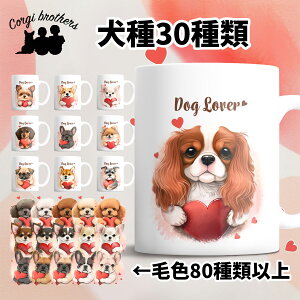 Iׂ }OJbv  킢 ꖳ ybg ̎q v[g Mtg ObY CXg  ʃvg a ̓ 蕨 mxeB R[M[uU[Y y L