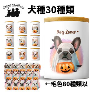 Iׂ LjX^[  킢 ꖳ ybg ۑe v[g Mtg ̎q ObY CXg  ʃvg a 蕨 mxeB R[M[uU[Y y 