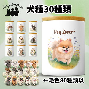 Iׂ LjX^[  킢 ꖳ ybg ۑe v[g Mtg ̎q ObY CXg  ʃvg a 蕨 mxeB R[M[uU[Y y 