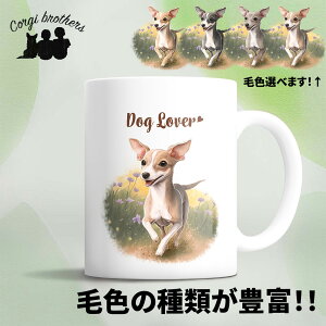 C^AO[nEh  }OJbv 킢 ꖳ ybg ̎q v[g Mtg ObY CXg  ʃvg a ̓ 蕨 mxeB R[M[u