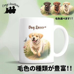 uh[go[  }OJbv 킢 ꖳ ybg ̎q v[g Mtg ObY CXg  ʃvg a ̓ 蕨 mxeB R[M[u