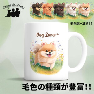 |jA  }OJbv 킢 ꖳ ybg ̎q v[g Mtg ObY CXg  ʃvg a ̓ 蕨 mxeB R[M[uU[Y y