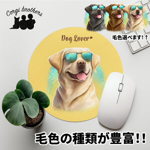 uh[go[  }EXpbh 킢 ꖳ ybg ̎q ObY CXg pXeJ[ Mtg v[g  a ̓ 蕨 mxeB R[M[