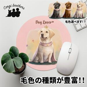 uh[go[  }EXpbh 킢 ꖳ ybg ̎q ObY CXg pXeJ[ Mtg v[g  a ̓ 蕨 mxeB R[M[