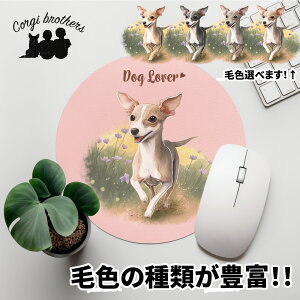 C^AO[nEh  }EXpbh 킢 ꖳ ybg ̎q ObY CXg pXeJ[ Mtg v[g  a ̓ 蕨 mxeB R[M