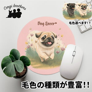 pO  }EXpbh 킢 ꖳ ybg ̎q ObY CXg pXeJ[ Mtg v[g  a ̓ 蕨 mxeB R[M[uU[Y yR