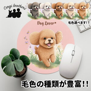 gCv[h  }EXpbh 킢 ꖳ ybg ̎q ObY CXg pXeJ[ Mtg v[g  a ̓ 蕨 mxeB R[M[uU[Y 