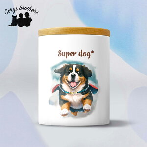 o[j[Y}Ee  LjX^[ 킢 ꖳ ybg ۑe v[g Mtg ̎q ObY CXg  ʃvg a 蕨 mxeB R[M[u