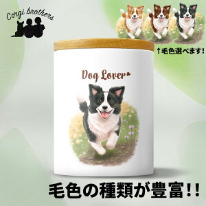 {[_[R[  LjX^[ 킢 ꖳ ybg ۑe v[g Mtg ̎q ObY CXg  ʃvg a 蕨 mxeB R[M[uU[