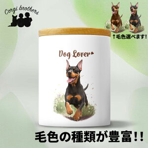 h[x}  LjX^[ 킢 ꖳ ybg ۑe v[g Mtg ̎q ObY CXg  ʃvg a 蕨 mxeB R[M[uU[Y 