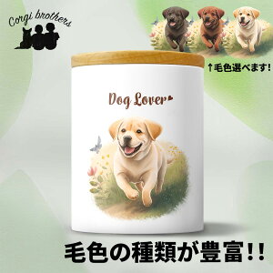 uh[go[  LjX^[ 킢 ꖳ ybg ۑe v[g Mtg ̎q ObY CXg  ʃvg a 蕨 mxeB R[M[