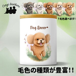 gCv[h  LjX^[ 킢 ꖳ ybg ۑe v[g Mtg ̎q ObY CXg  ʃvg a 蕨 mxeB R[M[uU[Y 