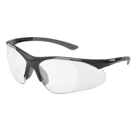 【当日出荷】エルベックス 拡大鏡 保護メガネ 老眼鏡 医療用ゴーグル 防塵メガネ RX500 ルーペ付き保護メガネ 安全メガネ 防塵ゴーグル