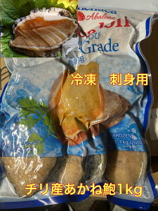 【送料無料】冷凍 チリ産殻付アカネあわび1kg(7個) お歳暮 お中元 贈り物 貝 あわび あわび アワビ 鮑 蝦夷アワビ 沖縄不可