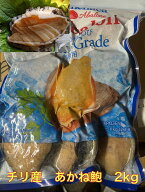【送料無料】冷凍 チリ産殻付アカネあわび2kg　1kg（9個）×2　お歳暮 お中元 贈り物　貝　あわび あわび…