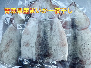  XYCJ銱i230gj6 TCY  Y Ă  Ε  Mtg ①   CJ  G  Ђ ̓@o[xL[