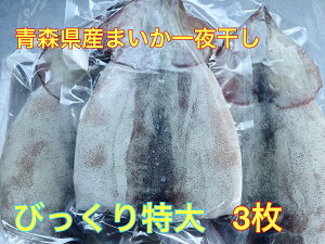  XYтCJ銱i300gj3@ Y Ă  Ε  Mtg ①   CJ  G  Ђ ̓@o[xL[