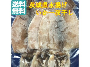 干物 イカ タコの人気商品 通販 価格比較 価格 Com