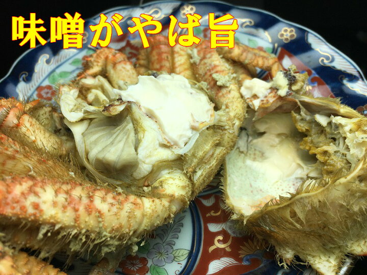 楽天市場】送料無料 2022年新物 北海道 根室産 ボイル栗かに1kg(3~5匹)塩ゆで かに カニ 蟹 蟹 蟹脚 蟹足 栗カニ くりがに クリガニ 栗がに 毛がに 毛ガニ 輸送品質上、九州、沖縄は冷蔵配送 : 馬目商店 楽天市場店 楽天市場】送料無料 2022年新物 北海道 根室産 ボイル栗かに1kg(3~5匹)塩ゆで かに カニ 蟹 蟹 蟹脚 蟹足 栗カニ くりがに クリガニ 栗がに 毛がに 毛ガニ 輸送品質上、九州、沖縄は冷蔵配送 : 馬目商店 楽天市場店