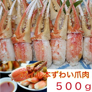 送料無料 2Lリングカット済み大ボイル本ズワイかに爪500g カニ爪/かに/蟹/ずわい/ズワイ/かにしゃぶ/カニ鍋/焼きがに/お歳暮/ギフト/冷凍/時短/お取り寄せ 北海道、中国、四国、九州、沖