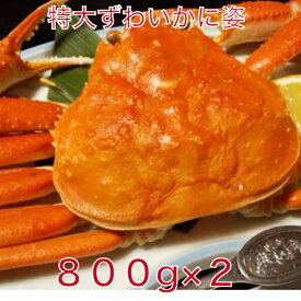 楽天市場 九州 カニ 魚介類 水産加工品 食品の通販