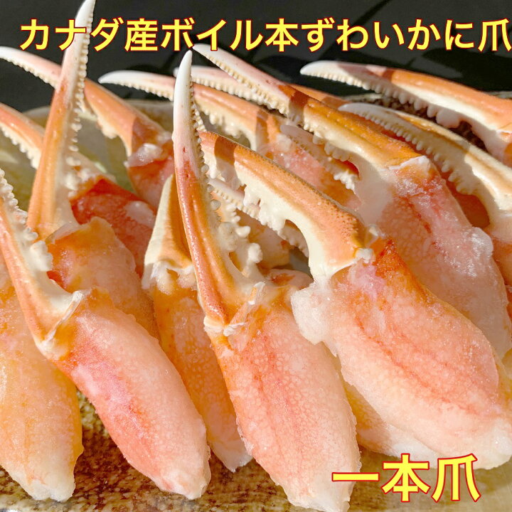 5950円 注目の福袋! ズワイガニ爪 2L 500g入り 5950円 注目の福袋! ズワイガニ爪 2L 500g入り