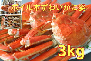  Ji_EVAY {C{YCKjp3kgi6`9j p Ε Mtg 킢 YCI {C 킢 YC p Mtg hV̓@ Jj I @{CYCKj {C