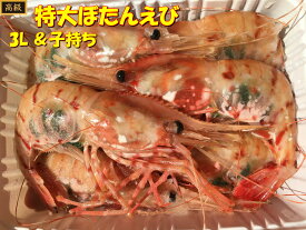 送料無料 超特大3Lサイズ限定！弾ける卵とプリプリの身 ロシア産刺身用子持ちぼたんえび1kg（18〜22尾） 牡丹海老 ぼたんえび 3L 牡丹えび 子持ち ボタンエビ えび 海老 エビ 刺身用 新鮮 子持ち　 沖縄は追加料金1000円となります。