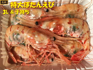 エビ ボタン 卵の人気商品 通販 価格比較 価格 Com