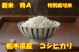 10{  ߘa7NY ߐ{A̕gpȖ،csYRVqJ10kg@A@V // 10L  R (͕ʓr500~ǉ)@@䒍㐸 Ȗ