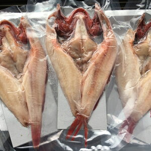 @Ji_Y񂫊J銱220g× 3  LL g L`W LLJ LL銱 񂫈銱  Ε  y ȒP Z ٓ Mtg fBi[@