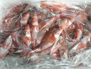 �������� �@�O���A��֎Y �@�Ԃ���΁@�̂ǂ���1kg�i7�`9���j���Ă��A�ς��p�@�����@�N�x�ێ��̂��߁A����ւ̔z���s�� �@���t�w��s�@�m�h�O���@�̂ǂ���@�A���@�̂Ǎ�