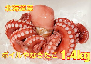  kCY 䥂 iM^R1C 1.5kgO@vvłI^R   Ε@1