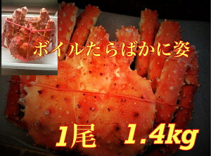 Nw\IyVňlII働VAEAXJY^oJjp1D4kg@Mtg@Ɂ@΂Ɂ@@^oɁ@΂ ^oKj ^o ΁@ Ai