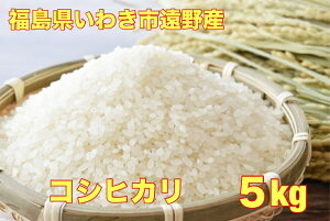  ߘa7NY 킫sYRVqJ5kg@V //ā@  5kg  5kg  5L  R (͕ʓr500~ǉ)@@䒍㐸