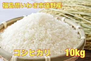  ߘa7NY 킫sYRVqJ10kg@V //ā@  10kg  10kg  10L  R (͕ʓr500~ǉ)@@䒍㐸
