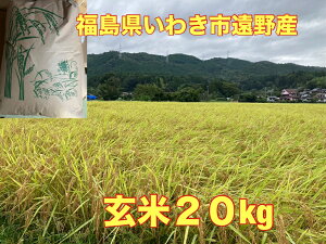  ߘa7NY 킫sYRVqJ20kg@V //ā@  20kg  20kg  10L  R (͕ʓr500~ǉ)@@䒍㐸