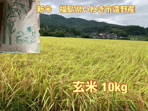  ߘa7NY 킫sYRVqJ10kg@V //ā@  10kg  10kg  10L  R (͕ʓr500~ǉ)@@䒍㐸