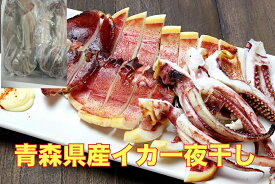 送料無料 小さめだけど美味しい 無添加 青森県産イカ一夜干し（約100g）6枚　焼くだけ 塩加減 お歳暮 お中元 ギフト 冷蔵 贈答 いか イカ　烏賊　干物　ひもの お歳暮　バーベキュー