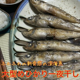 送料無料　大型めひかりの一夜干し　15匹 目光 常磐産　めひかり　メヒカリ 干物 常磐もの 常磐モノ 常磐物 ギフト 父の日　母の日　焼くだけ いわき